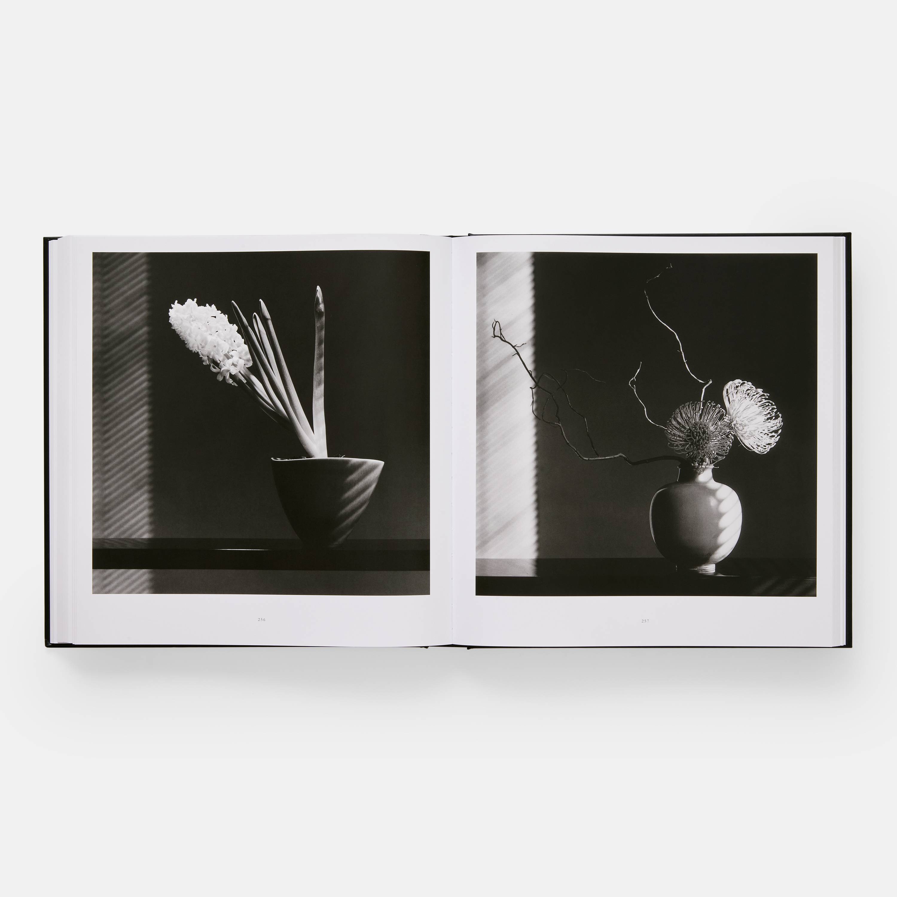 アート・デザイン・音楽 FLORA Mapplethorpe Mapplethorpe Flora - Philadelphia Museum Of Art Store